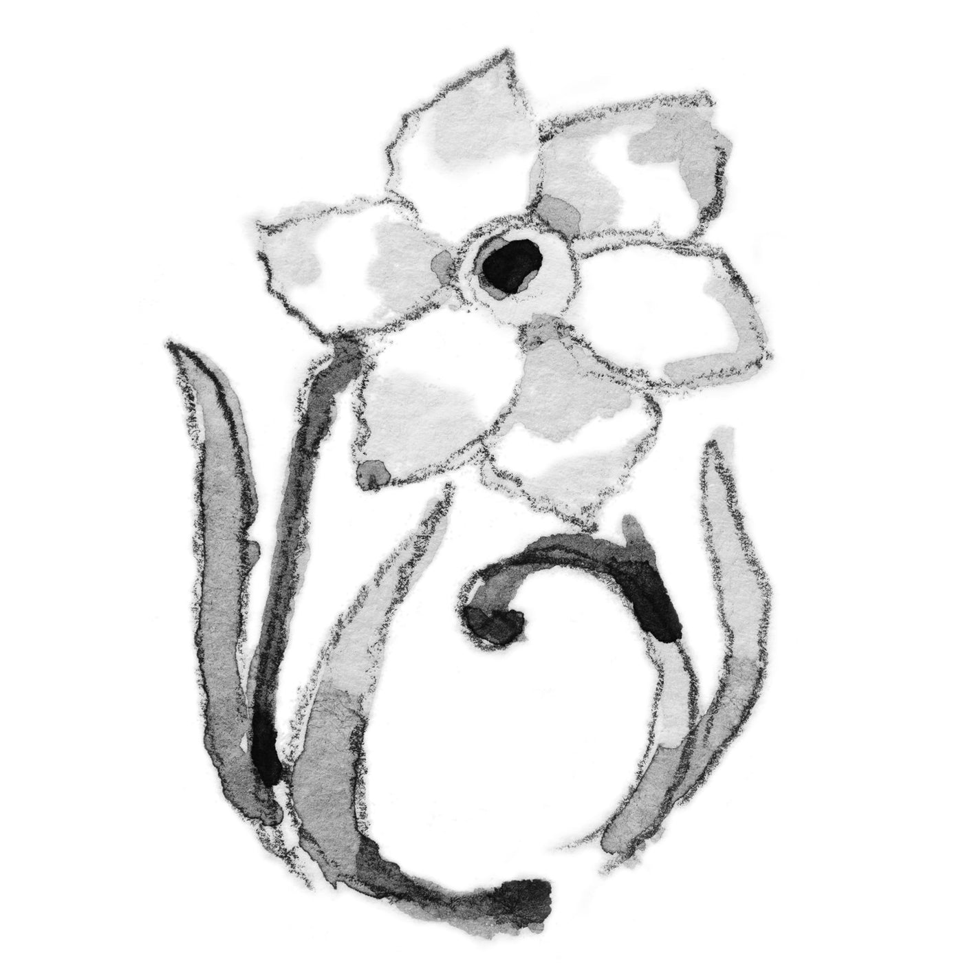 ダッフォディルオブマーチ(3月の誕生花)　