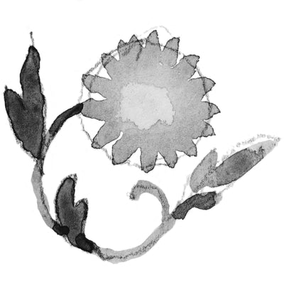 クリサンセマムオブノーベンバー(11月の誕生花)