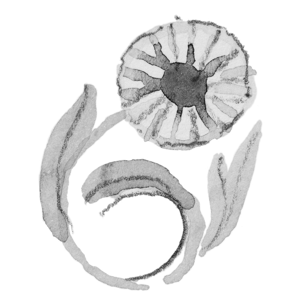 デイジーオブエイプリル(4月の誕生花) – トロールビーズ