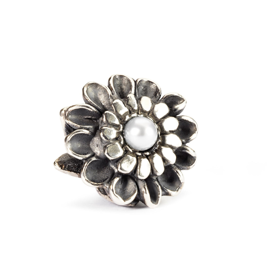 トロールビーズ☆2018秋新作☆スチールヘマタイト♪新品